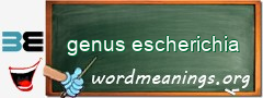 WordMeaning blackboard for genus escherichia